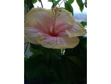 IMG 20151111 150044.jpg