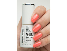 Dance Legend ����-��� 023 Coral Mind