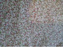 IMG 20151105 122511.jpg