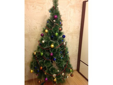 ���� ���� 180 ��