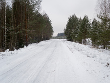  DSC1084.jpg