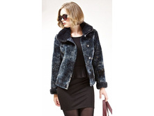 818004	�������� ����