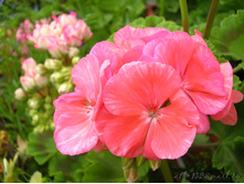 DSCN3720.JPG