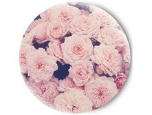 80� ��������� ������� �������� Sweet roses �����
