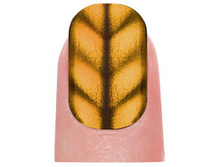 Nail m769.jpg