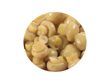 ����� ���������� "�����"