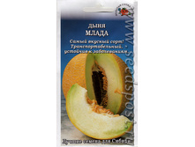 ���� ����� ����� 10,31 ���..[���.9000588]