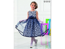 ������ ����������� ��� ������� PSA071501.jpg