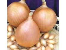������  10�� - 1580 � 1��-158���