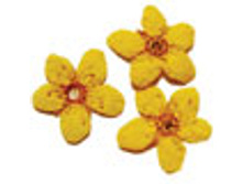 F2 ������ ��������-38 ���.jpg