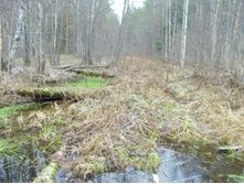 ������� � ������� �����