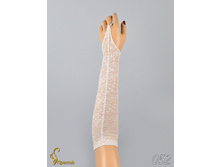 052 an42004-00007.jpg