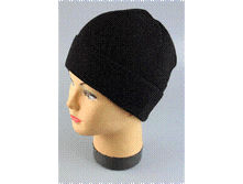 Image589.gif
