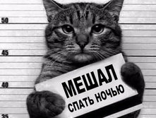 11215099 191969777807667 8160174266941650605 n.jpg