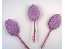 `������, ����� 10 ��, 10 ��