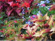 DSCN4278.JPG