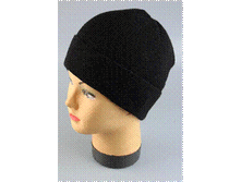 Image591.gif