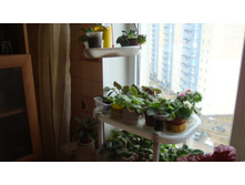 ���� �� �����(������ 2015 �)