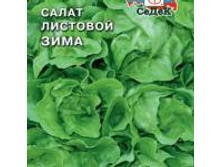 Salat zima SDK-930-22-ru.jpg