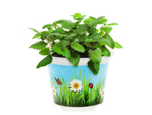 �������� ����� � �������� ��� ��������� �����.jpg