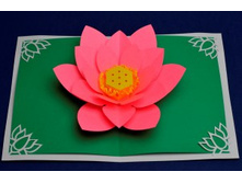 Mothers Day Lotus Flower Pop Up Card pink-300x198.jpg