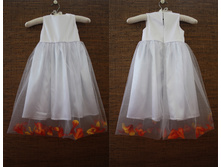 ������ ����� ��������