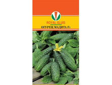 ������ ������F1 ������ 35,99 ���..jpg