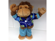 ��������� � �������	���	20/-