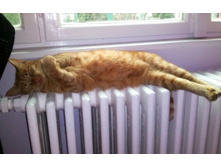 ���� ... ������ ...