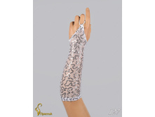 127 an4200s-00016.jpg