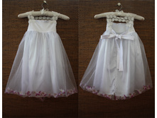 ������ ����� ��������