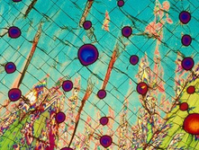 10702033 1585014191719067 4153025839286556158 n.jpg