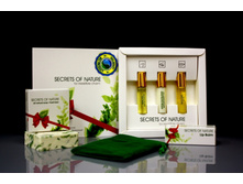 ���������� ����� ��� ��������-����� � �������