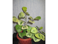 ������������