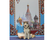 C  Data Users DefApps AppData INTERNETEXPLORER Temp Saved Images 12186507 1279105568781981 7715073411570894742 o.jpg