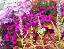DSCN5107.JPG
