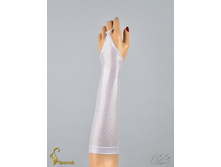 023 an42027-00005.jpg