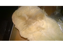 WP 20151114 17 24 19 Pro.jpg