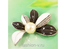 ����� H10930170-------170���.jpg