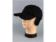 Image050.gif