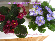 �� �������� � Party Cloudy