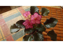 ��-����� ����( ������� 2014 �)