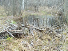 2015 ������ ��������� 020.jpg