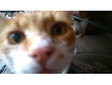 ���� ������ ������� ����������� � ��������������.