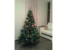 ��� ����-�� ��������� ��� ����� (2014 ���)