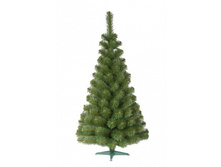 ��� �0��� ���� �������