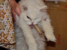 �� �� ���� �, ��� ���� ������!