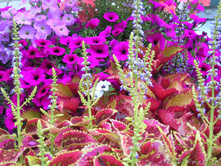 DSCN5103.JPG