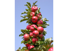 ������ ���� ������������-410�.jpg