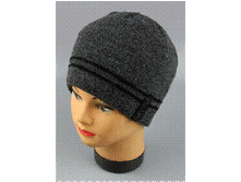 Image583.gif